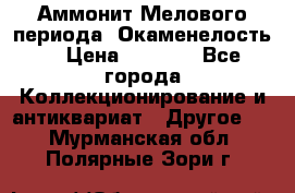 Аммонит Мелового периода. Окаменелость. › Цена ­ 2 800 - Все города Коллекционирование и антиквариат » Другое   . Мурманская обл.,Полярные Зори г.